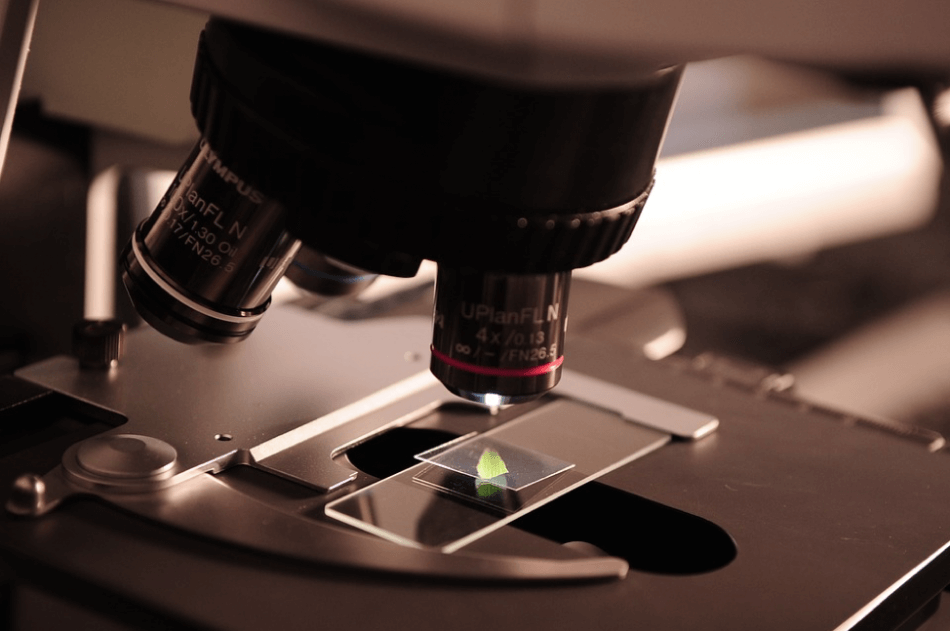 Genetics-Informed Treatment and Gene Therapy in Addiction Treatment